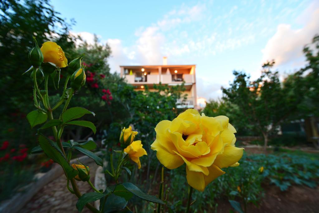 Apartments Silvana Sunset View زادار المظهر الخارجي الصورة